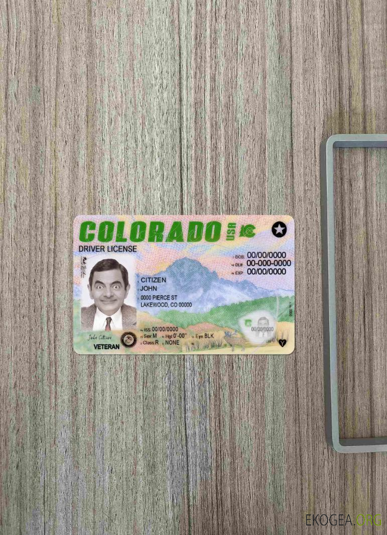 Permis de conduire USA Colorado 2022 présent photolook AVANT